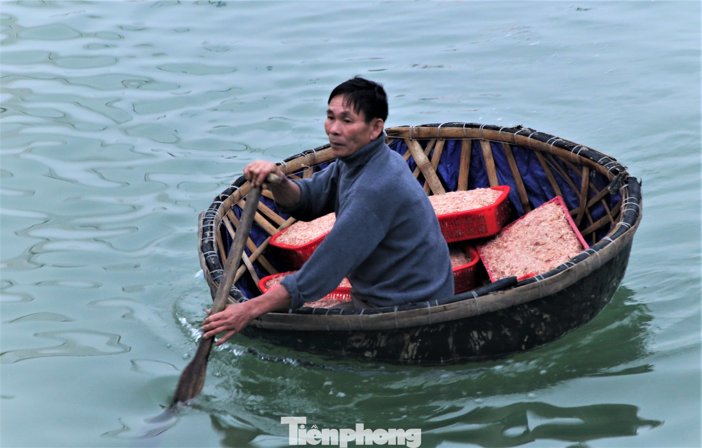 Những ngày đầu năm, thời tiết thuận lợi nên mỗi chuyến tàu ra khơi đều thu về lượng lớn hải sản. Trong đó với các tàu công suất nhỏ đánh bắt gần bờ cũng thu cả tấn ruốc biển.