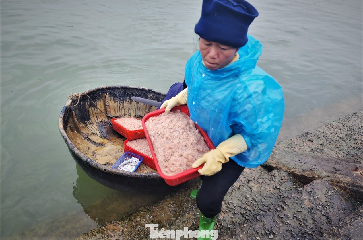 Những ngày đầu năm, thời tiết thuận lợi nên mỗi chuyến tàu ra khơi đều thu về lượng lớn hải sản. Trong đó với các tàu công suất nhỏ đánh bắt gần bờ cũng thu cả tấn ruốc biển. Họ hối hả đưa ruốc từ thuyền lên bờ để bán cho thương lái.