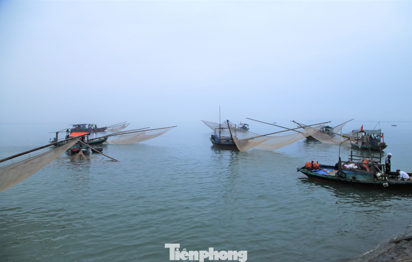 Những ngày này, tại các cảng cá, khu neo đậu tàu thuyền vùng biển huyện Lộc Hà, Nghi Xuân (Hà Tĩnh) trở nên nhộn nhịp khi các tàu ngư dân trúng đậm hàng tấn ruốc, di chuyển vào bờ.