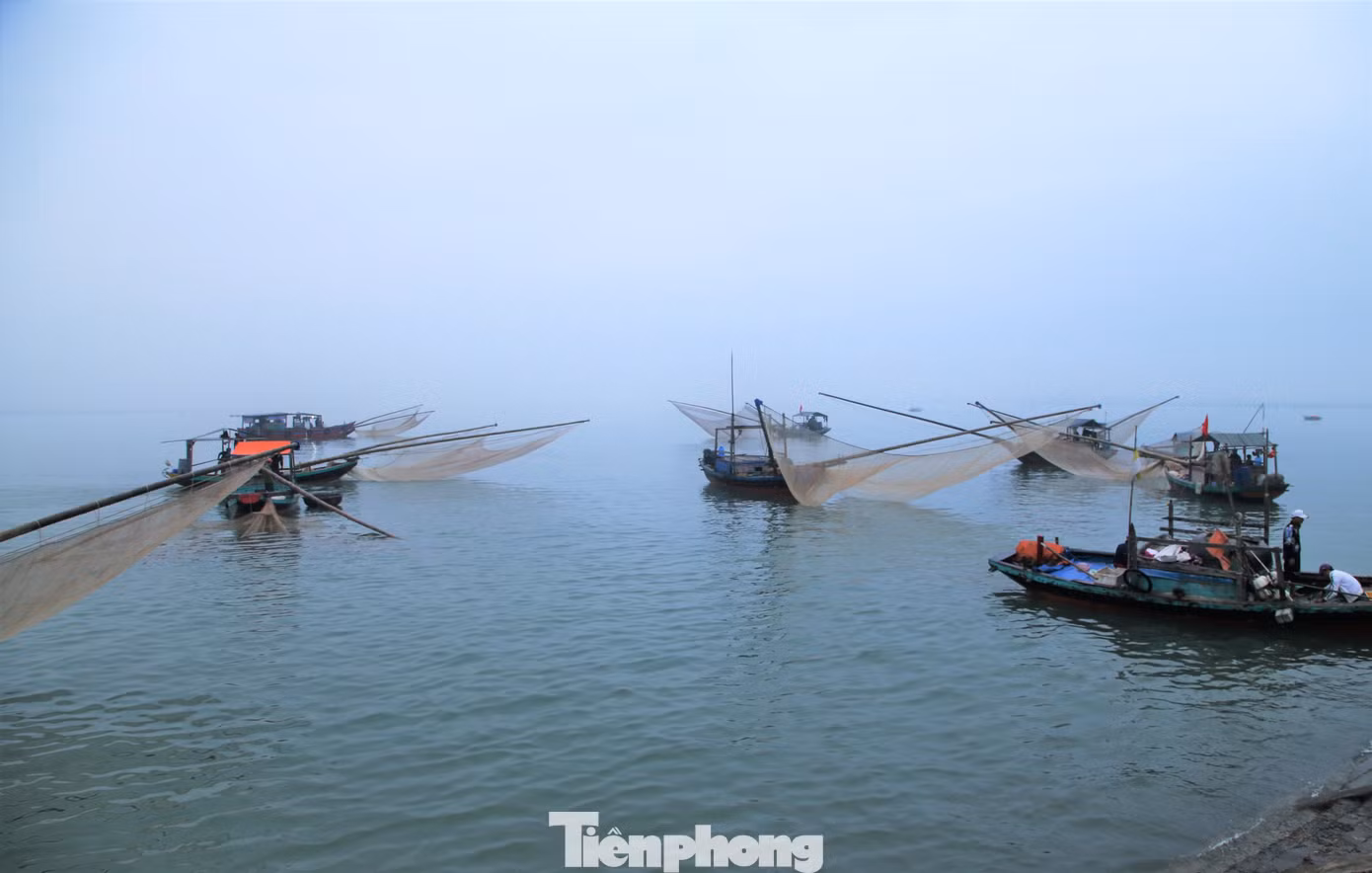 Những ngày này, tại các cảng cá, khu neo đậu tàu thuyền vùng biển huyện Lộc Hà, Nghi Xuân (Hà Tĩnh) trở nên nhộn nhịp khi các tàu ngư dân trúng đậm hàng tấn ruốc, di chuyển vào bờ.