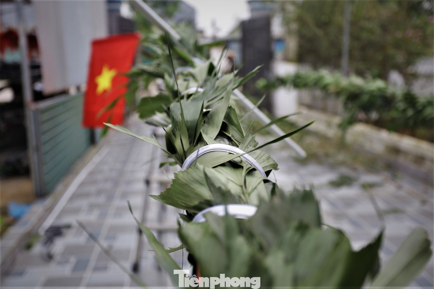 “Cứ đến ngày 18 tháng Chạp là người dân lại gọi điện thuê làm. Nêu có loại to, nhỏ khác nhau, tùy nhu cầu người đặt mà mình lựa chọn làm. Giá mỗi cây hoàn thành có đủ đèn trang trí, lá đủng đỉnh từ 1,2 đến 1,7 triệu đồng”, ông Sáng nói.