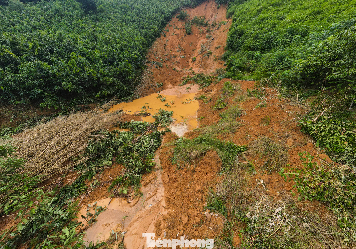 Theo UBND tỉnh Yên Bái, toàn tỉnh có 2.700 điểm sạt lở đất. Đặc biệt, đã xảy ra sạt lở đất đặc biệt nghiêm trọng tại các địa phương làm nhiều người chết, nhà cửa hư hỏng. Đến nay, toàn tỉnh có 50 người chết và mất tích, 30 người bị thương. Ước tính thiệt hại hơn 1.200 tỷ đồng.