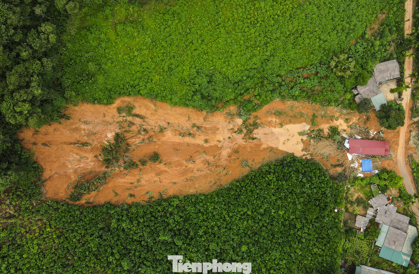 Theo người dân địa phương, anh Ánh quê Sơn La, xuống Yên Bái làm việc rồi cưới vợ, sinh được 2 người con (con lớn 5 tuổi, con nhỏ 3 tháng tuổi). Đôi vợ chồng trẻ về thôn Bảo Tân, xã Minh Bảo mua đất, xây nhà khoảng 4 năm nay. Ngôi nhà nằm cách chân đồi cả trăm mét.