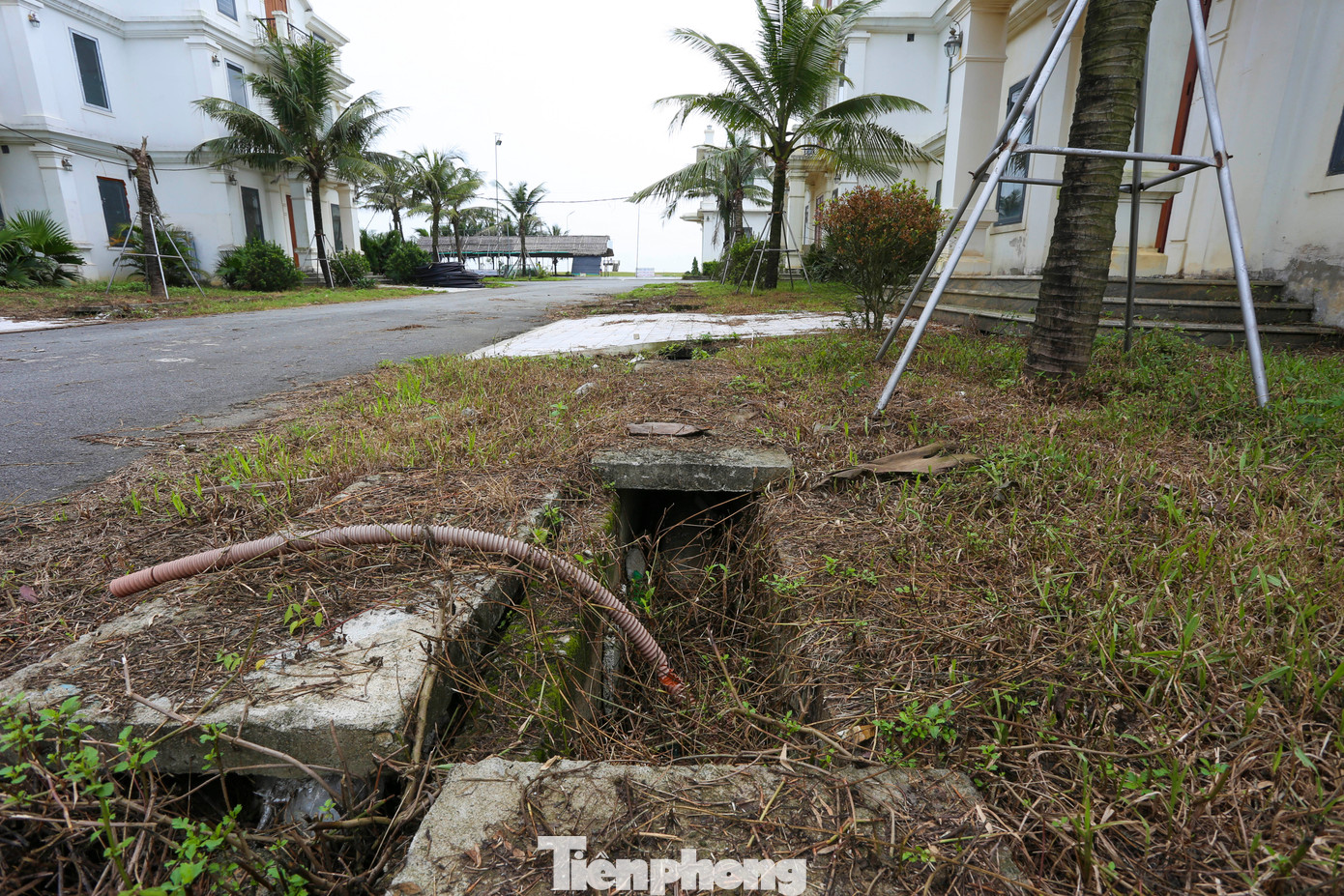 Tại dự án không có công nhân hay dấu hiệu triển khai thi công, chỉ có một bảo vệ trông coi tài sản. Khu vực khuôn viên, sân bãi của dự án cỏ cây mọc um tùm như bãi hoang.