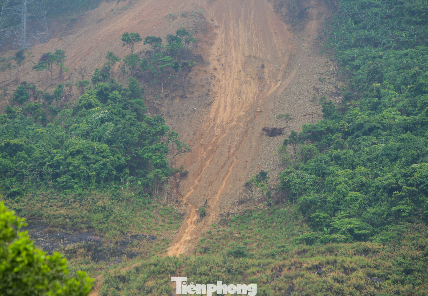 Hình ảnh đất đá đổ đè lên cây rừng tự nhiên. Sau các đợt mưa lớn, đất đá trôi xuống chân núi, xuất hiện từng rãnh nước lớn..