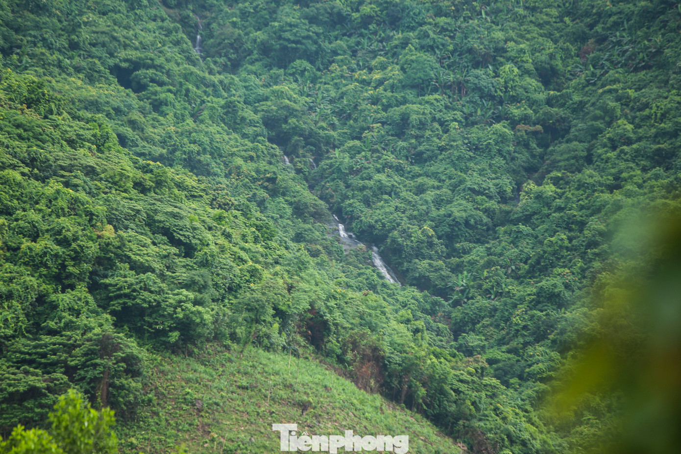 “Khu vực đồi núi ở đây có độ dốc lớn, nhiều khe suối chảy dọc các sườn đồi. Gần đây khi làm các móng cột đường dây điện, nước từ khe suối đổ xuống có màu vàng đục của đất. Các vị trí dưới chân móng cột điện cũng xuất hiện đất đá tràn xuống chân núi rất nhiều”, một người dân phường Kỳ Liên (thị xã Kỳ Anh) cho hay.