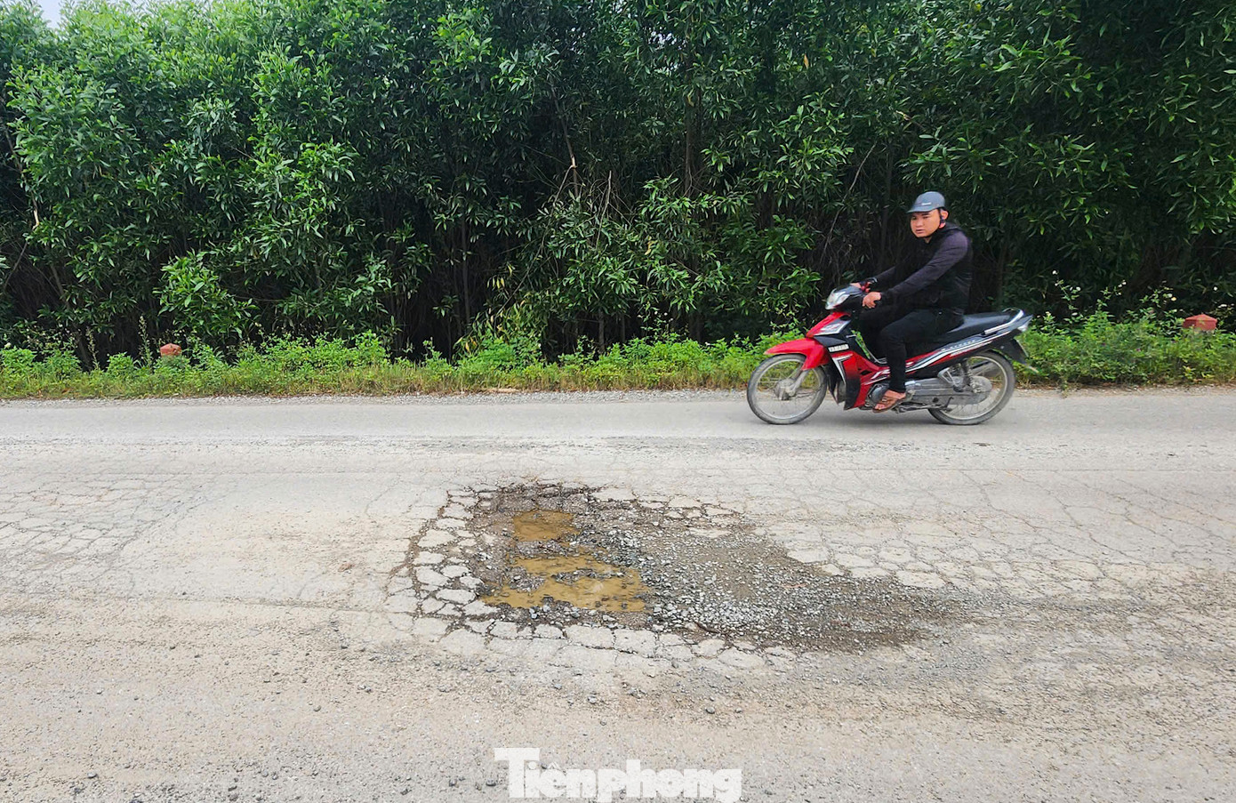 Lãnh đạo UBND xã Kỳ Trung cho biết tuyến đường xuống cấp ảnh hưởng lớn đến việc đi lại và sự phát triển kinh tế địa phương. Xã cũng có ý kiến đến ngành chức năng để sớm có phương án tu sửa trên toàn tuyến. Lãnh đạo UBND xã Kỳ Trung cho biết tuyến đường xuống cấp ảnh hưởng lớn đến việc đi lại và sự phát triển kinh tế địa phương. Xã cũng có ý kiến đến ngành chức năng để sớm có phương án tu sửa trên toàn tuyến.