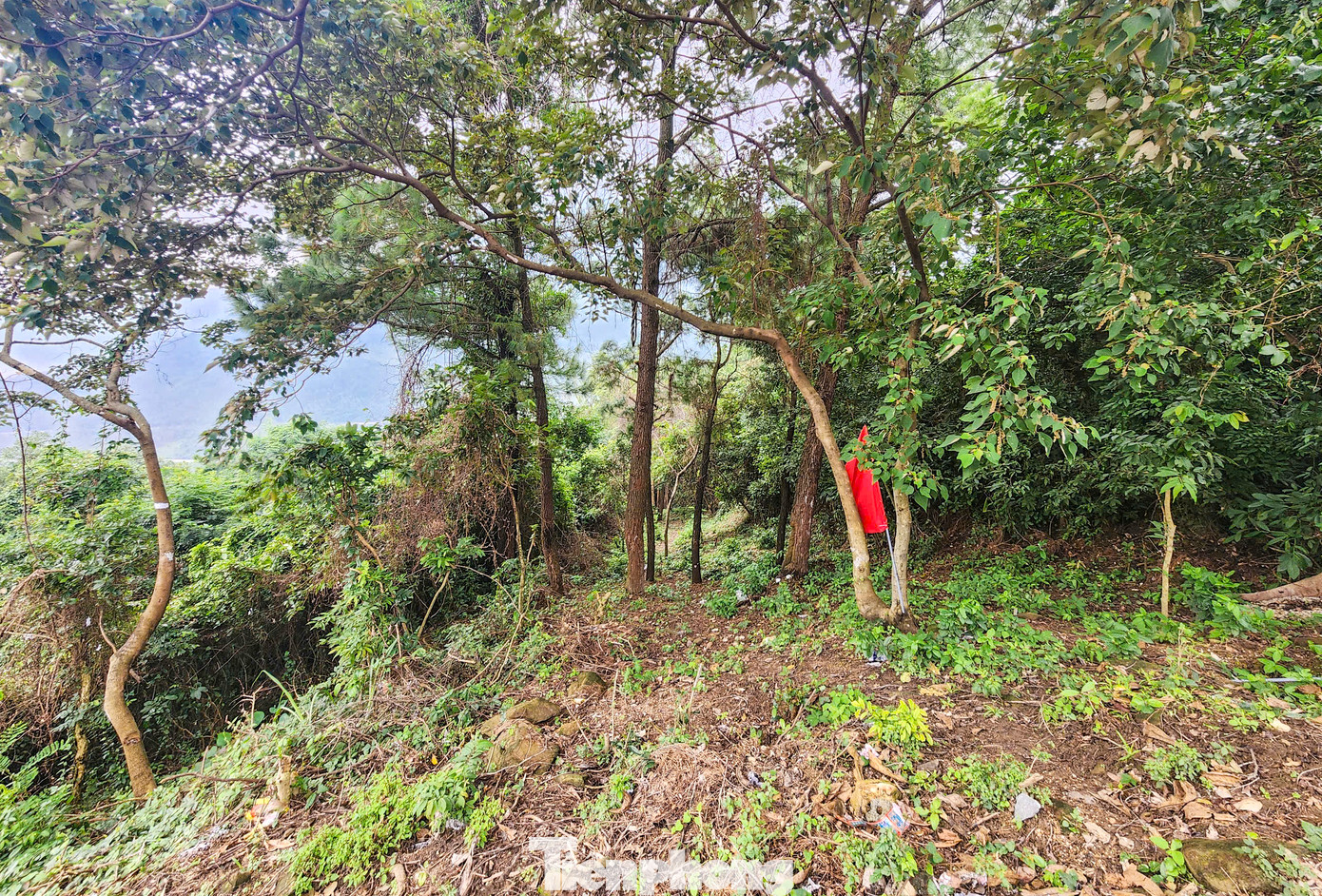 Ở phía Quảng Bình, hồi tháng 10/2024, sau khi phát lộ lối mòn bằng đá nối từ đền Thánh mẫu Liễu Hạnh lên "cổng trời" (Hoành Sơn Quan) tại xã Quảng Đông (huyện Quảng Trạch), tỉnh này đã chỉ đạo phát quang, từng bước khôi phục hiện trạng đường “thiên lý Bắc - Nam”.