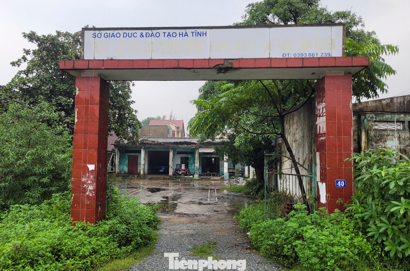 Cổng vào cỏ dại mọc um tùm 2 bên.