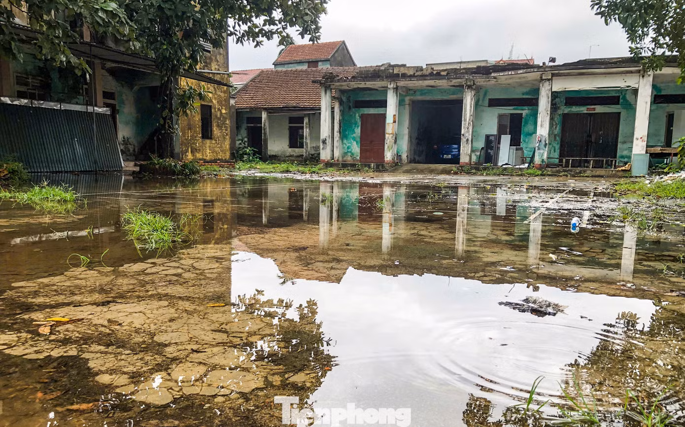 Các dãy nhà trong khuôn viên trung tâm này trở nên u ám bởi những bức tường đổ nát và rệu rã. Nhiều hạng mục xuống cấp có nguy cơ đổ sập bất cứ lúc nào.