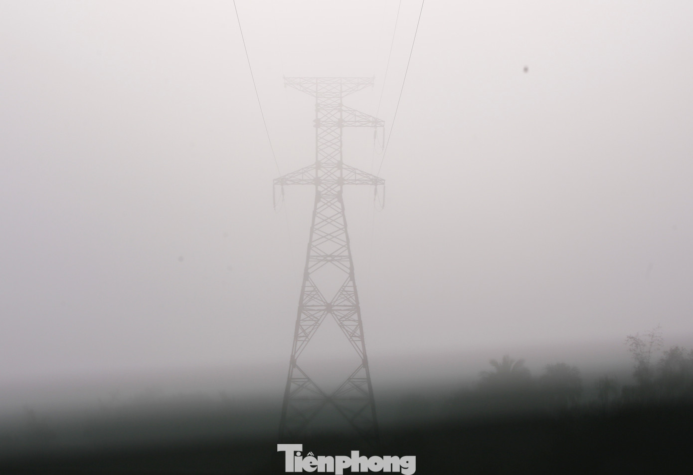Dãy cột điện mờ ảo trong sương sớm.