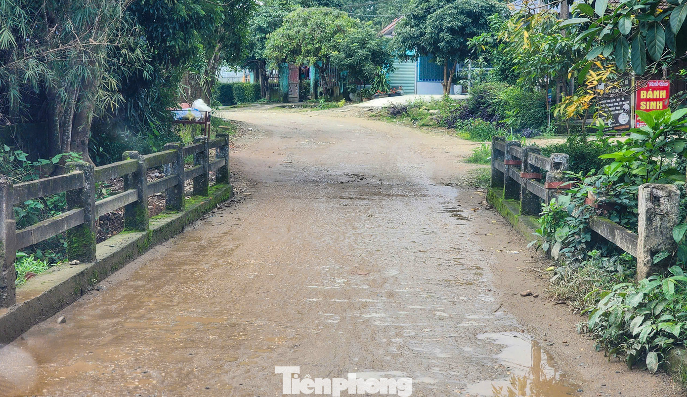 Trên tuyến có một số cầu thắt nút cổ chai. Mặt cầu và thành cầu sau thời gian sử dụng đã xuống cấp.