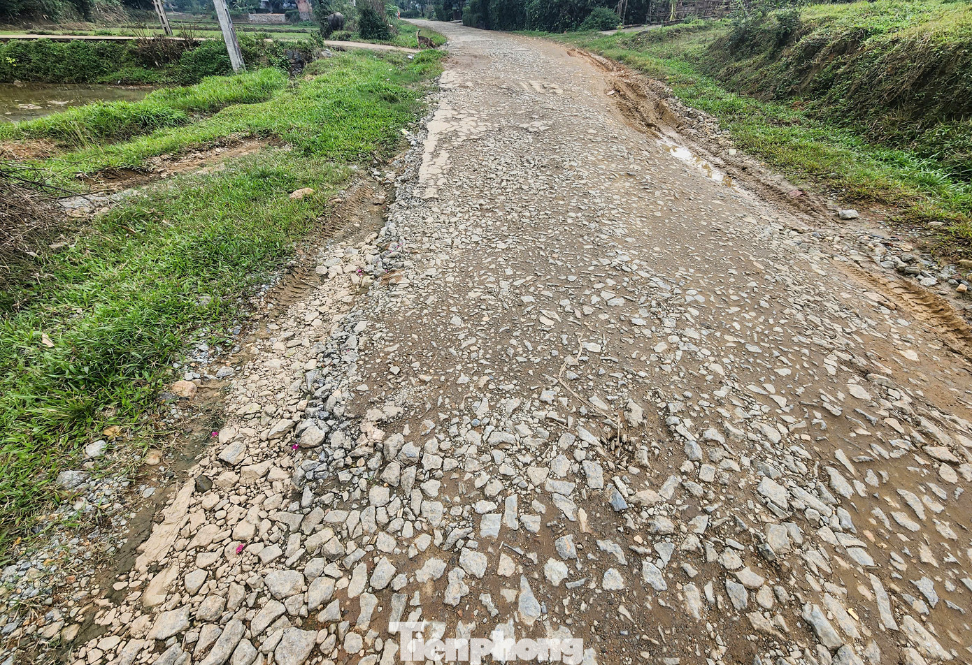 Tuyến đường là huyết mạch giao thông các xã vùng thượng huyện Kỳ Anh nên việc xuống cấp thành trở ngại lớn nhất cho người dân trong vùng.