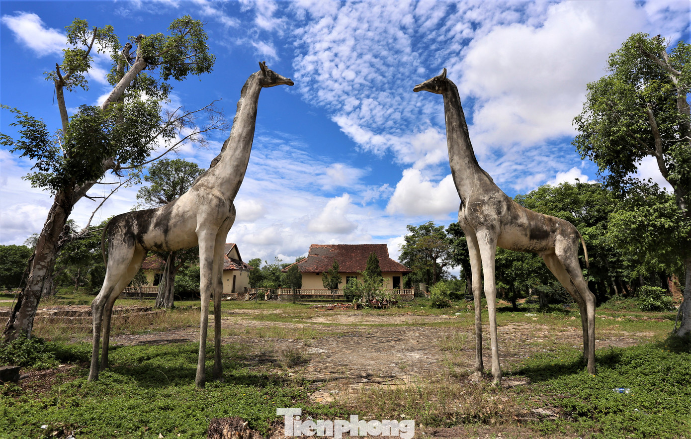 Khu công viên, vui chơi thiếu nhi hoang tàn.