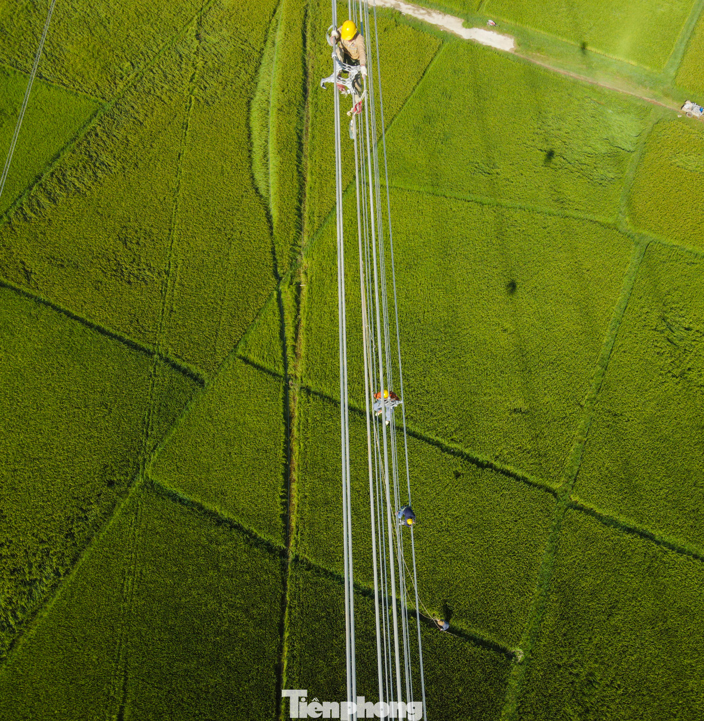 Tại các vị trí cột 166 - 168 đoạn qua xã Cẩm Mỹ, huyện Cẩm Xuyên (Hà Tĩnh), 3 công nhân đung đưa trên các dây để lắp đặt định vị phân pha.