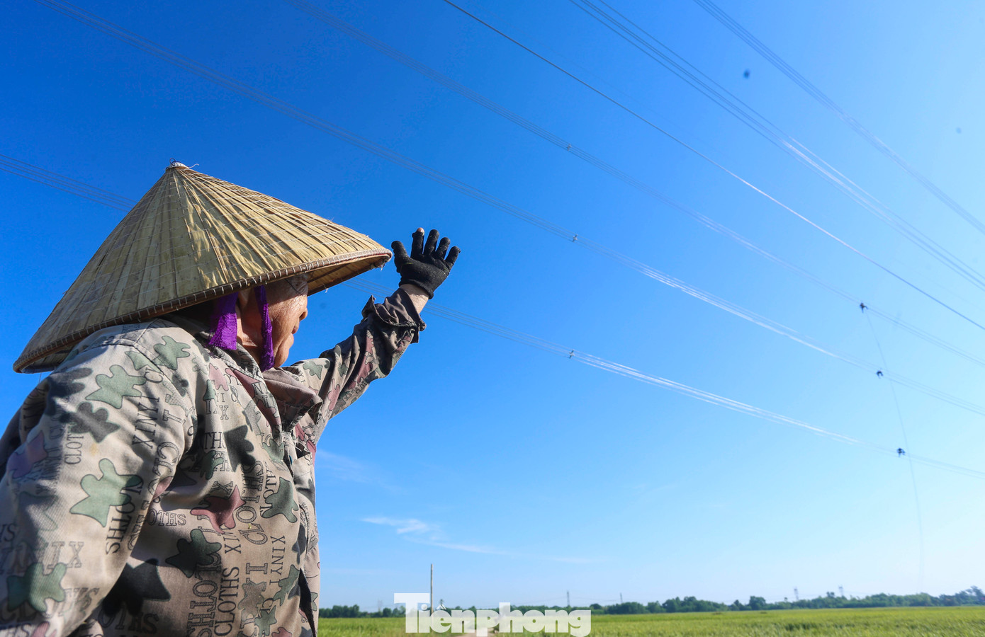“Nhìn các chú thợ điện leo trèo, đánh đu trên dây thật khó nói hết sự vất vả và nguy hiểm”, bà Bùi Thị Hồng (66 tuổi, trú xã Cẩm Mỹ) chia sẻ.