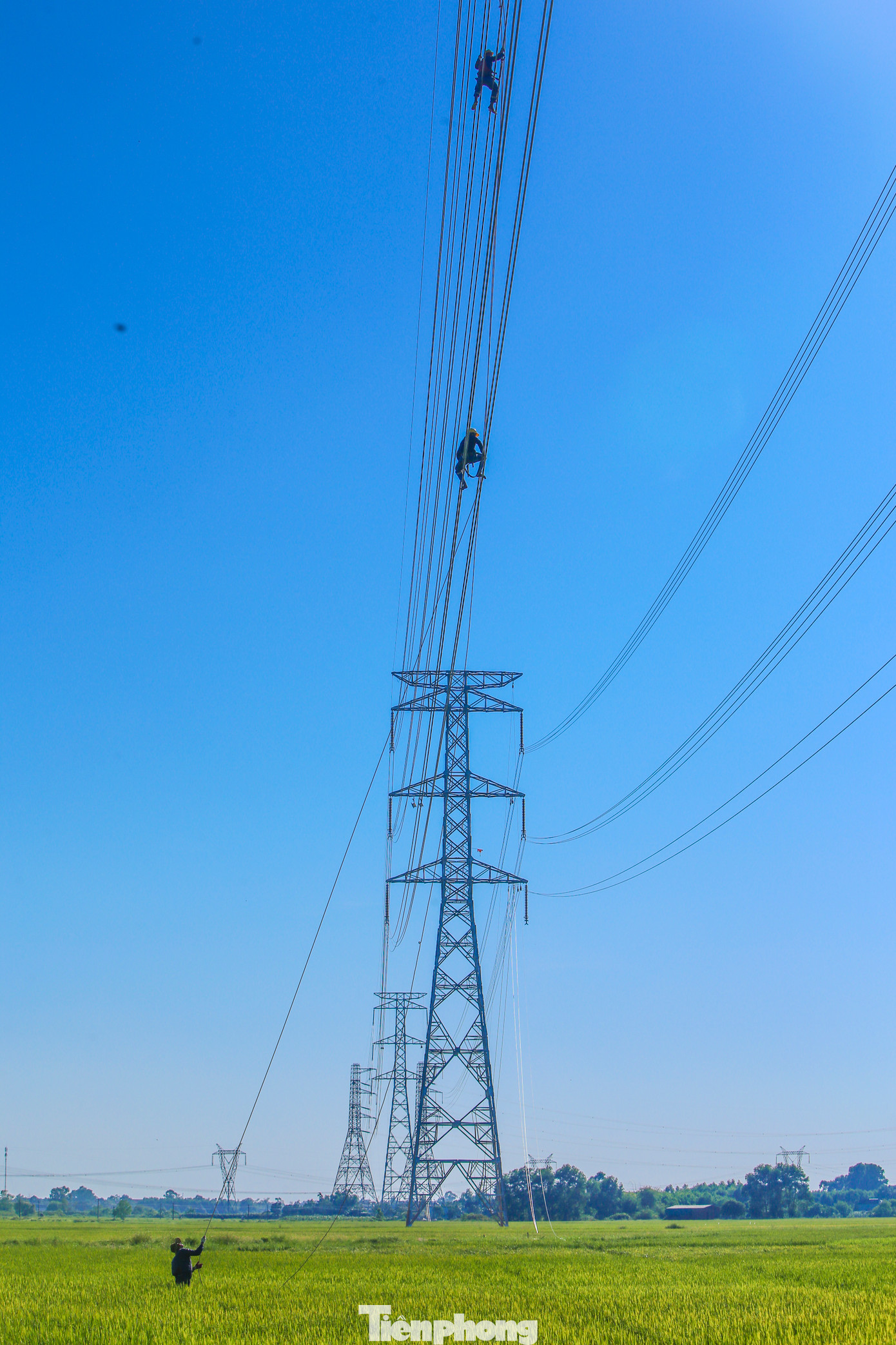 Cứ khoảng 20-25m, nhóm công nhân sẽ lắp đặt 1 thiết bị định vị phân pha cho 4 dây cáp.