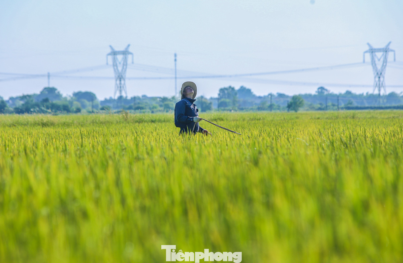 Bên dưới sẽ có người đưa vật tư phân pha và kéo dây tời mang thiết bị lên cho công nhân thực hiện.