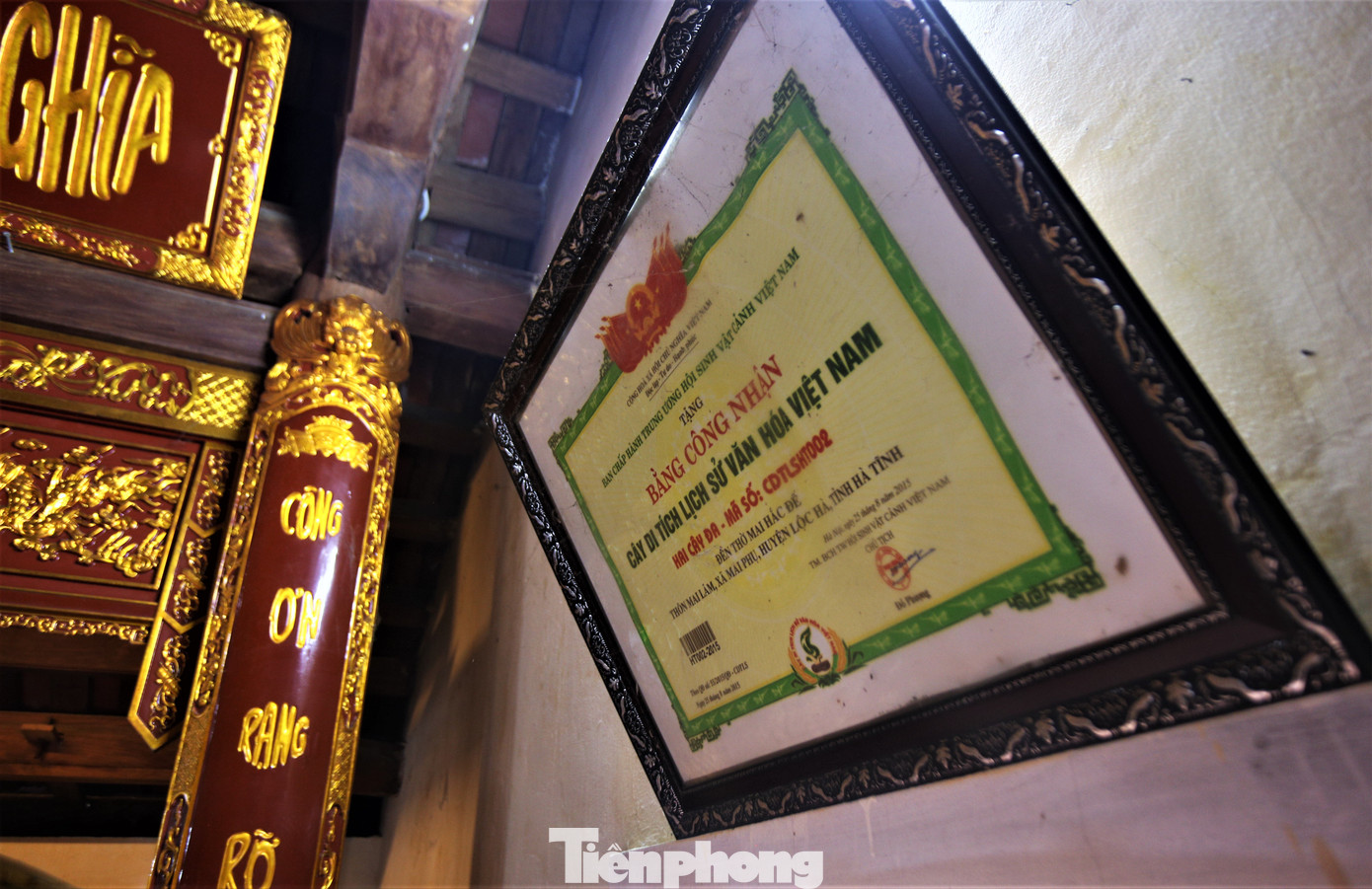 Phía trước ngôi đền có 2 cây đa cổ thụ hàng trăm năm tuổi, cành lá sum suê, được người dân địa phương bảo vệ, gìn giữ bao đời nay. Năm 2015, hai cây đa được công nhận là cây di tích lịch sử văn hóa Việt Nam.