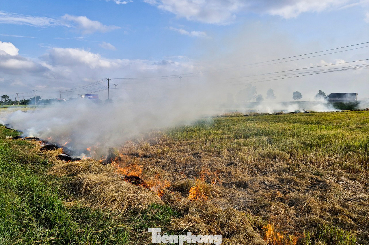 Đốt rơm rạ ngay tại đồng ruộng khiến cho nhiều loài côn trùng, sinh vật khó sống sót. Đốt rơm rạ ngay tại đồng ruộng khiến cho nhiều loài côn trùng, sinh vật khó sống sót.
