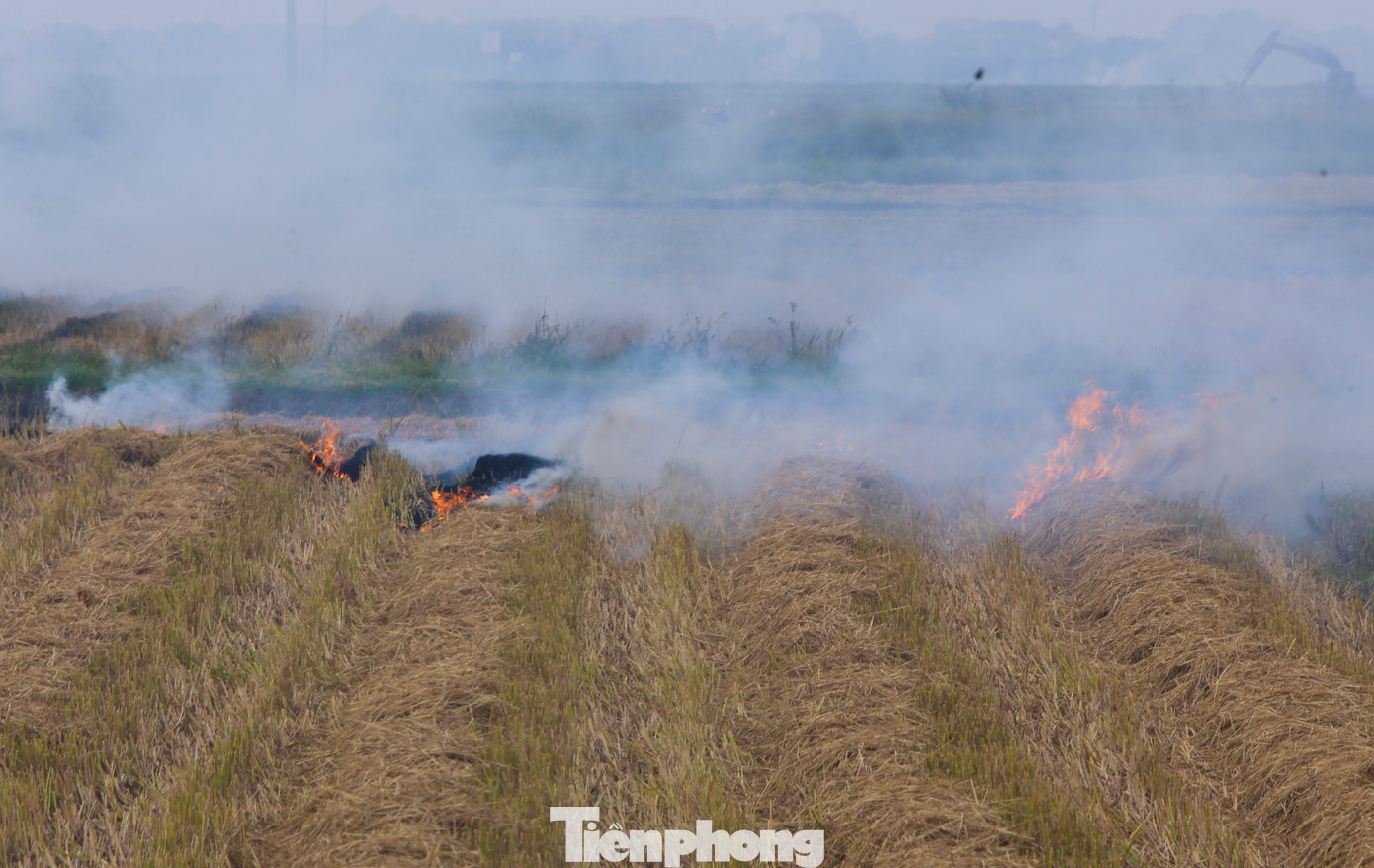 Cứ tầm 16h, khi trời bớt nắng là thời gian người dân đốt nhiều nhất. Đồng ruộng sát Quốc lộ 1A, sau khi thu hoạch lúa người dân tập trung xử lý, đốt rơm rạ, nhưng do cây lúa khô chưa đều dẫn đến khói bụi mù mịt. Cứ tầm 16h, khi trời bớt nắng là thời gian người dân đốt nhiều nhất. Đồng ruộng sát Quốc lộ 1A, sau khi thu hoạch lúa người dân tập trung xử lý, đốt rơm rạ, nhưng do cây lúa khô chưa đều dẫn đến khói bụi mù mịt.