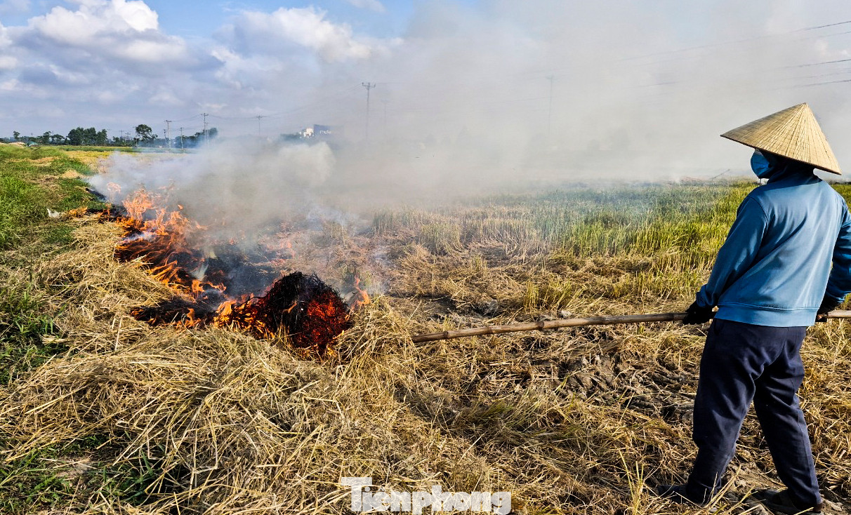 Theo khuyến cáo của các cơ quan chuyên môn, người dân không nên đốt rơm rạ tràn lan mà cần sử dụng các chế phẩm sinh học để xử lý rơm rạ dư thừa sau thu hoạch, góp phần bảo vệ các loài côn trùng, sinh vật có lợi và đặc biệt là sức khỏe của mọi người. Theo khuyến cáo của các cơ quan chuyên môn, người dân không nên đốt rơm rạ tràn lan mà cần sử dụng các chế phẩm sinh học để xử lý rơm rạ dư thừa sau thu hoạch, góp phần bảo vệ các loài côn trùng, sinh vật có lợi và đặc biệt là sức khỏe của mọi người.