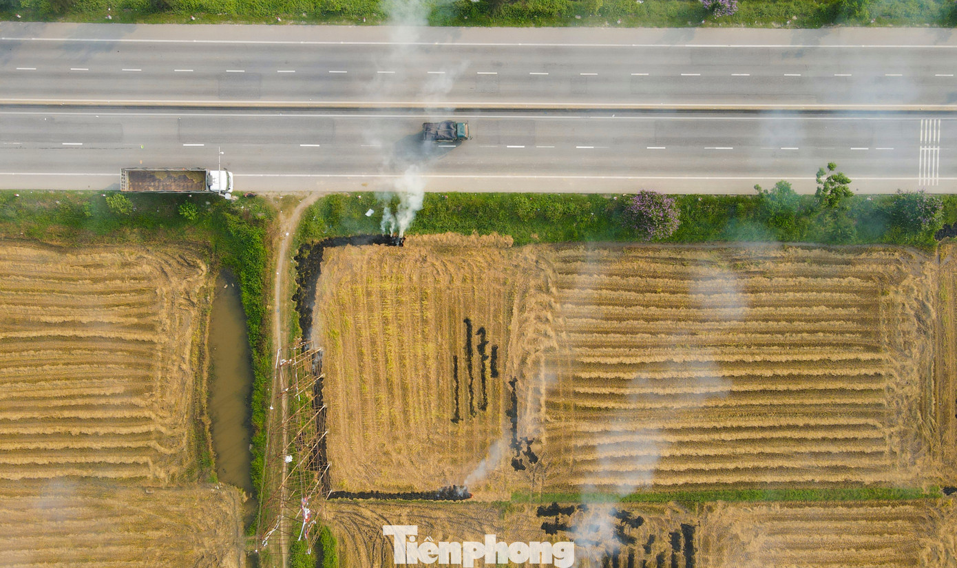 Việc đốt rơm cũng là cách nhanh nhất làm cho rơm tiêu hủy để tiếp tục cho vụ mới. Rơm đốt thành tro, người dân dùng để bón rau cỏ hay để ngay tại ruộng. Việc đốt rơm cũng là cách nhanh nhất làm cho rơm tiêu hủy để tiếp tục cho vụ mới. Rơm đốt thành tro, người dân dùng để bón rau cỏ hay để ngay tại ruộng.