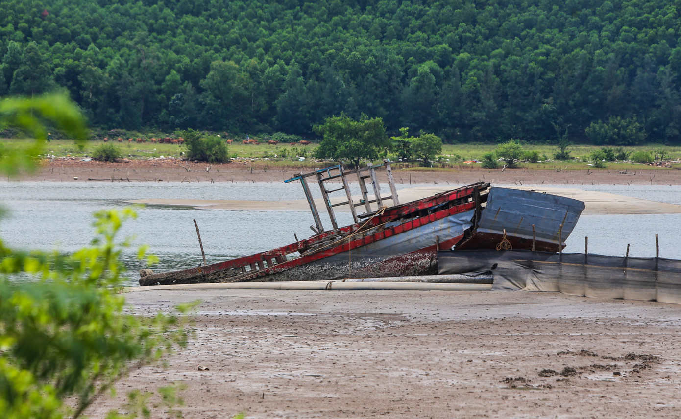 Do các tàu thuyền được đóng từ các loại gỗ như táu, săng lẻ… nên thời gian phân hủy rất lâu.