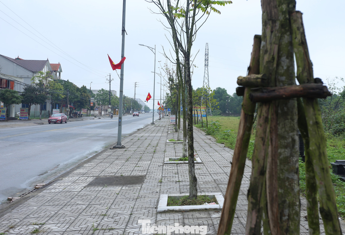 Một số địa phương có cây trồng theo dự án bị chết, chưa được trồng bổ sung. Một số địa phương có cây trồng theo dự án bị chết, chưa được trồng bổ sung.