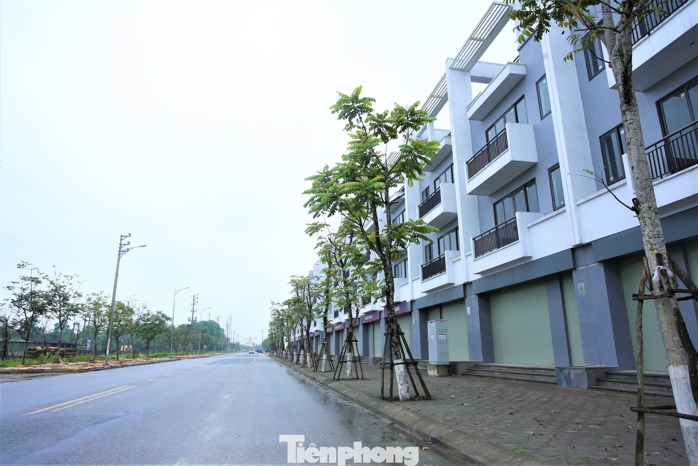 Hà Tĩnh rà soát các dự án cây xanh. Hà Tĩnh rà soát các dự án cây xanh.