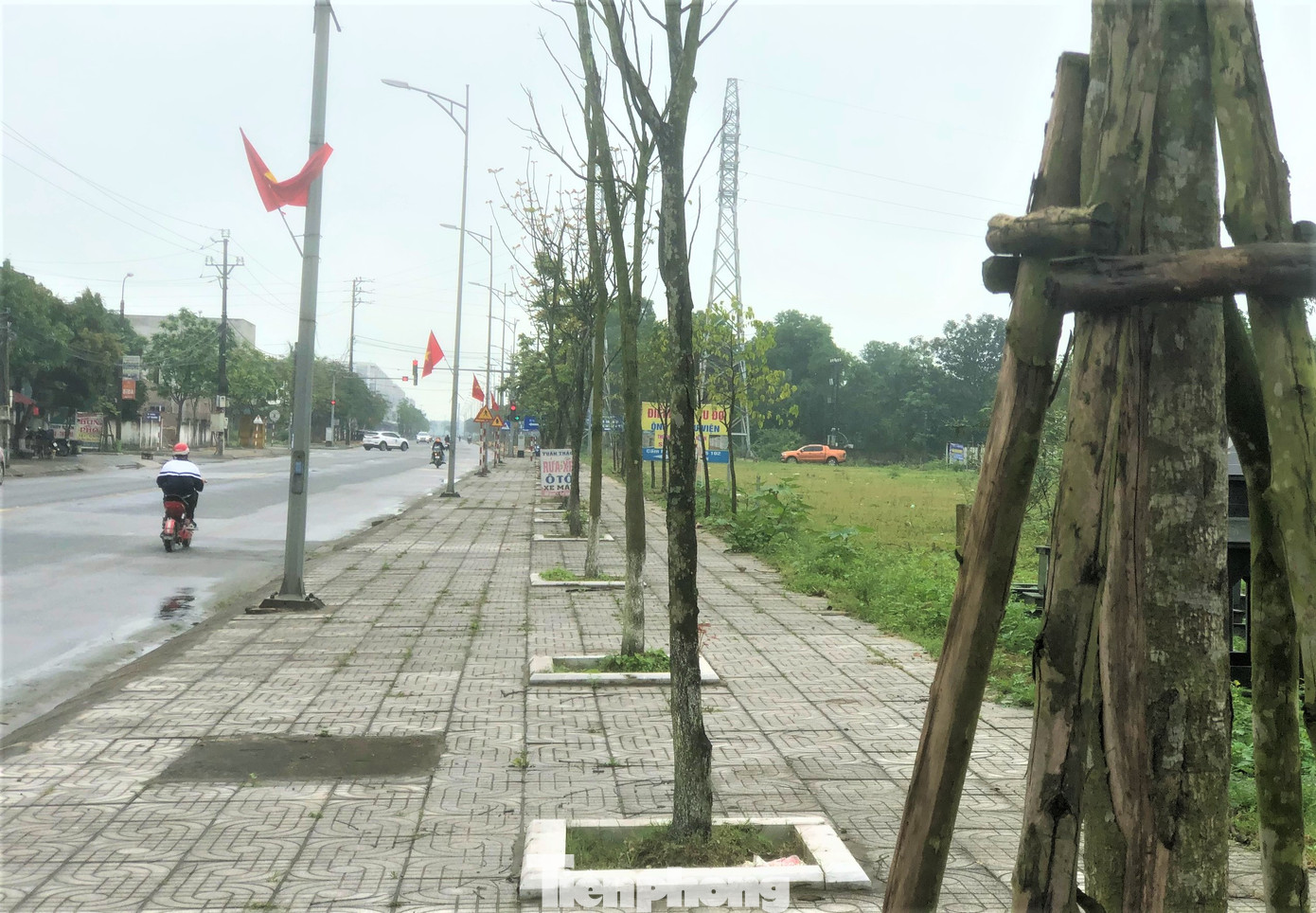 “Loại cây được trồng tại các dự án chủ yếu là giáng hương, mỗi cây đường kính 12-15cm, chi phí 6-7 triệu đồng từ cây giống, phân bón, công chăm sóc. Đơn vị trồng cam kết thay thế cây trong vòng 1 năm nếu cây trồng bị chết. Hiện các cây xanh tại những dự án này đều phát triển tốt”, ông Nhật cho hay. Trong hình là loạt cây xanh trồng ở thị xã Hồng Lĩnh, ngoài các cây phát triển tốt cũng có nhiều cây có dấu hiệu chết, khô, chưa được bổ sung thay thế. “Loại cây được trồng tại các dự án chủ yếu là giáng hương, mỗi cây đường kính 12-15cm, chi phí 6-7 triệu đồng từ cây giống, phân bón, công chăm sóc. Đơn vị trồng cam kết thay thế cây trong vòng 1 năm nếu cây trồng bị chết. Hiện các cây xanh tại những dự án này đều phát triển tốt”, ông Nhật cho hay. Trong hình là loạt cây xanh trồng ở thị xã Hồng Lĩnh, ngoài các cây phát triển tốt cũng có nhiều cây có dấu hiệu chết, khô, chưa được bổ sung thay thế.