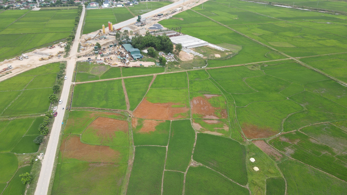 Những thửa ruộng có màu đỏ là do nhiễm dầu khiến lúa bị chết.