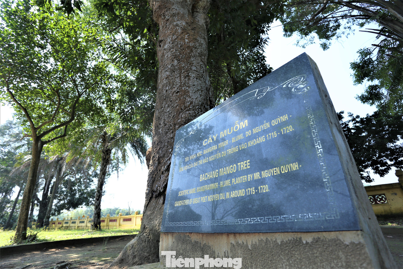 Khánh đá trước đây đặt tại đền thờ Tiến sĩ Nguyễn Huệ (bác ruột của Nguyễn Du). Về sau, đền thờ bị hư hỏng. Năm 1965, hiện vật này được chuyển vào trong khuôn viên khu lưu niệm. Đối diện là bia Trường Minh được người dân lập nên ghi lại sự tích và người có công xây dựng chùa Trường Minh. Khuôn viên khu lưu niệm có nhiều cây cổ thụ cả trăm năm tuổi, tỏa bóng mát.