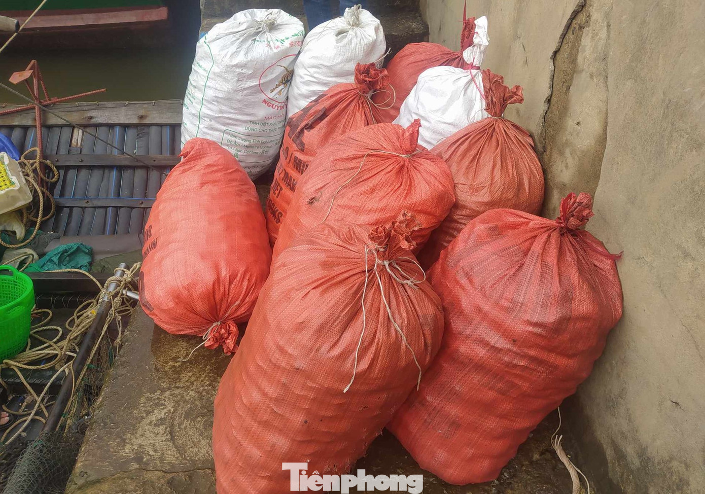 Đầu năm đến nay sản lượng hải sản ngư dân xã Thạch Kim đánh bắt được là 187 tấn với giá trị 15,3 tỷ đồng. Riêng tháng 2 vừa qua sản lượng đánh bắt được đạt 115 tấn với giá trị hơn 9,8 tỷ đồng”, vị lãnh đạo địa phương thông tin. Trong hình, từng bì ngao chất dọc cảng cá, chờ thương lái thu mua. Đầu năm đến nay sản lượng hải sản ngư dân xã Thạch Kim đánh bắt được là 187 tấn với giá trị 15,3 tỷ đồng. Riêng tháng 2 vừa qua sản lượng đánh bắt được đạt 115 tấn với giá trị hơn 9,8 tỷ đồng”, vị lãnh đạo địa phương thông tin. Trong hình, từng bì ngao chất dọc cảng cá, chờ thương lái thu mua.