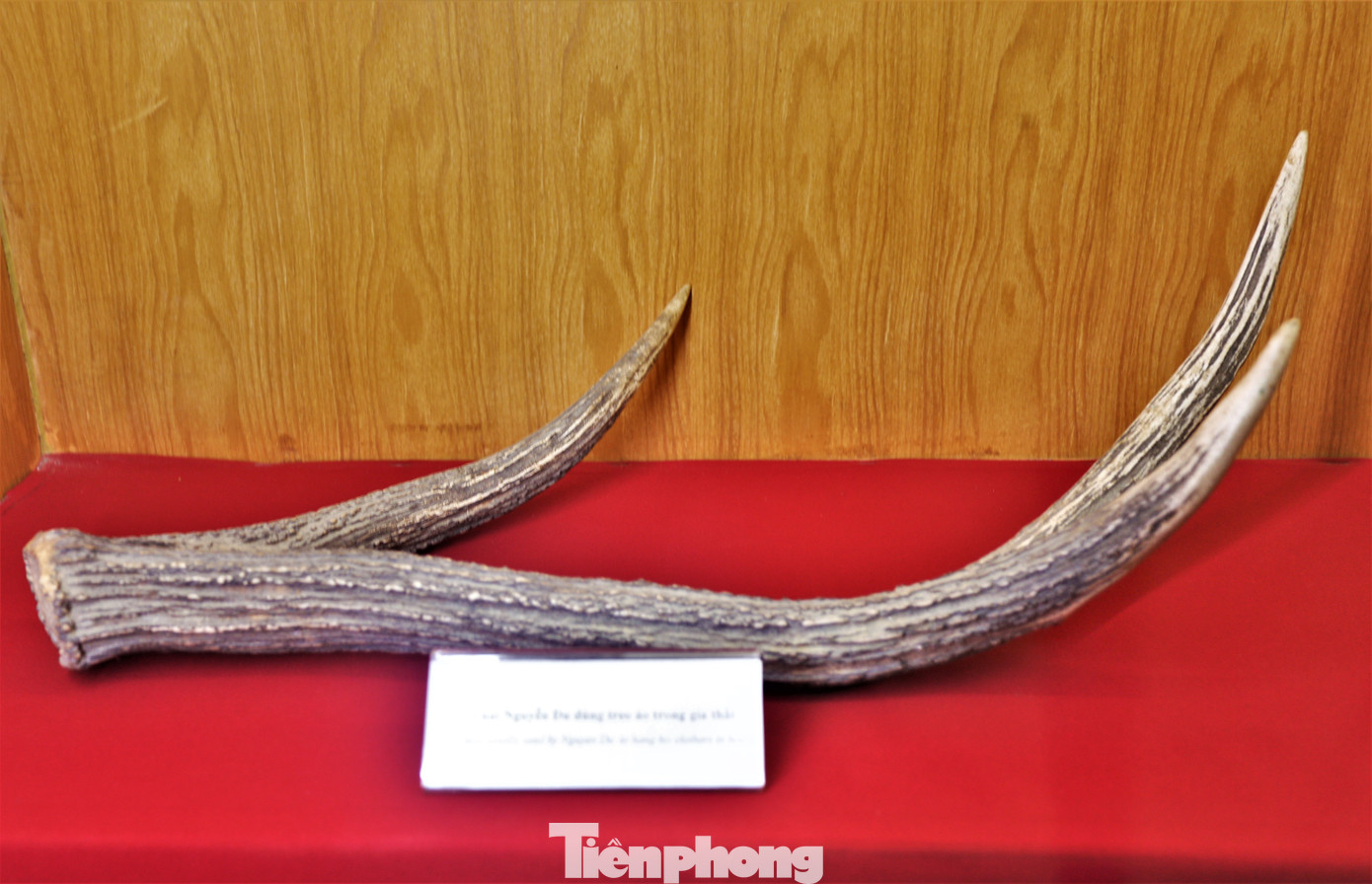 Khu lưu niệm hiện trưng bày, lưu giữ hơn 1.000 hiện vật, tư liệu về Nguyễn Du và dòng họ Nguyễn ở Tiên Điền. Những hiện vật quý giá này từng gắn với cuộc đời, sự nghiệp của Nguyễn Du.