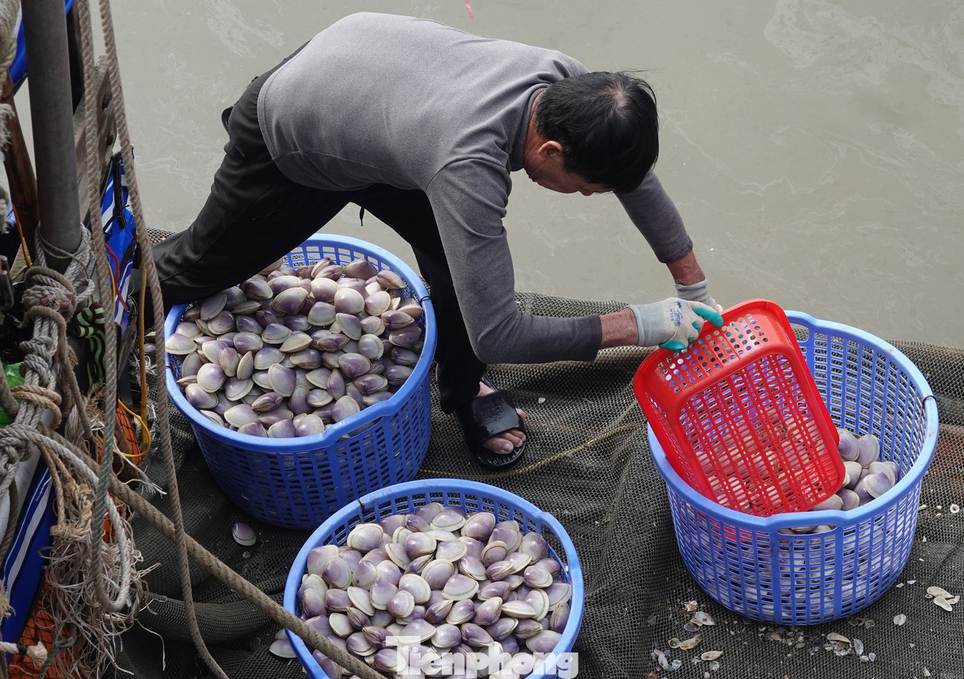 Những ngày này, có mặt tại cảng cá Cửa Sót (xã Thạch Kim, huyện Lộc Hà, Hà Tĩnh), ghi nhận nhiều ngư dân đưa tàu thuyền cập cảng vận chuyển ngao tím đánh bắt được đưa lên bờ bán cho thương lái. Những ngày này, có mặt tại cảng cá Cửa Sót (xã Thạch Kim, huyện Lộc Hà, Hà Tĩnh), ghi nhận nhiều ngư dân đưa tàu thuyền cập cảng vận chuyển ngao tím đánh bắt được đưa lên bờ bán cho thương lái.