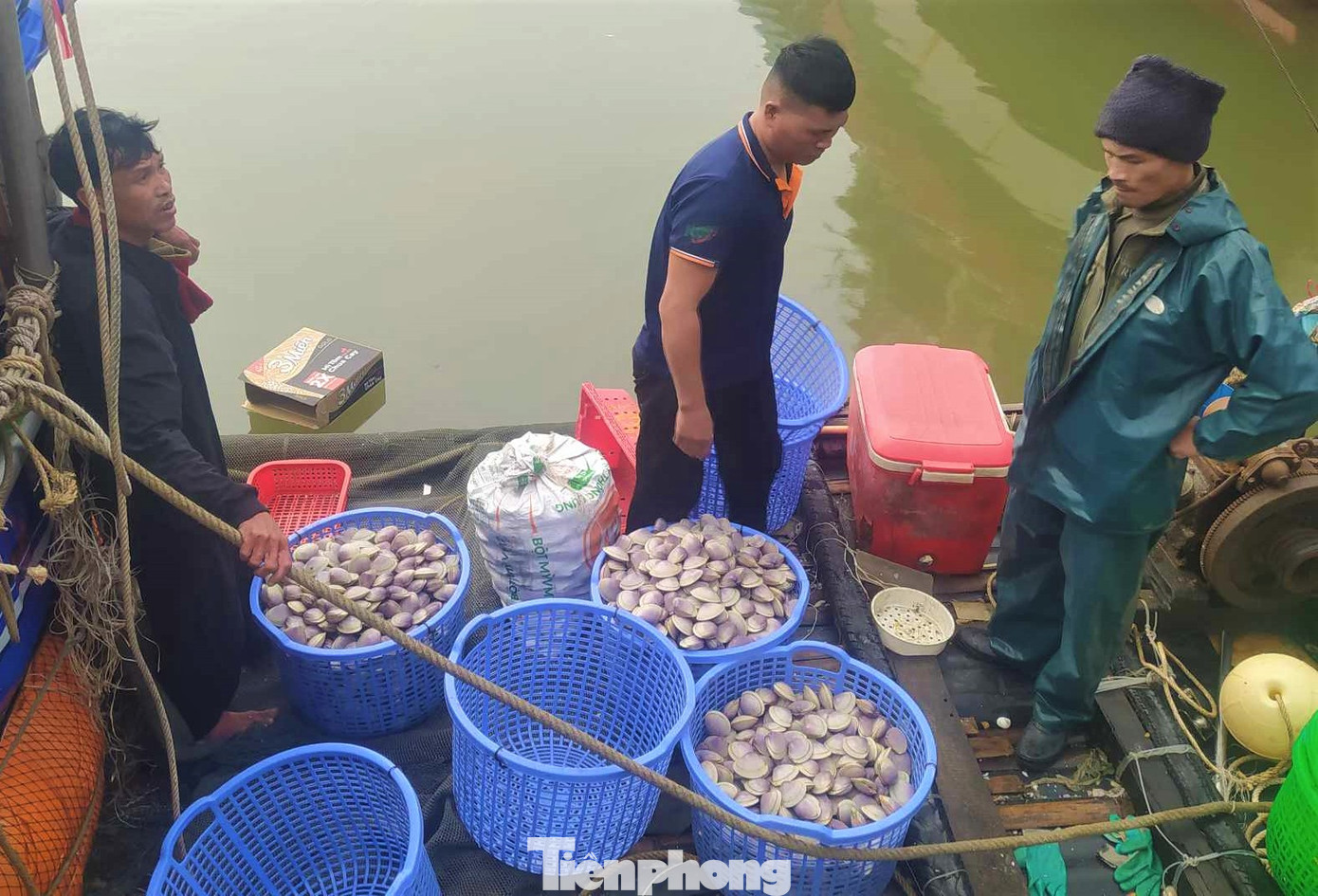 “Sau mỗi đêm ra khơi, mỗi thuyền đánh bắt gần 1 tấn ngao tím loại vừa. Với giá bán 10.000 - 14.000 đồng/kg, chúng tôi thu về hơn 10 triệu đồng, sau khi trừ chi phí dầu thì mỗi người thu về gần 2 triệu đồng”, ông Bình nói. “Sau mỗi đêm ra khơi, mỗi thuyền đánh bắt gần 1 tấn ngao tím loại vừa. Với giá bán 10.000 - 14.000 đồng/kg, chúng tôi thu về hơn 10 triệu đồng, sau khi trừ chi phí dầu thì mỗi người thu về gần 2 triệu đồng”, ông Bình nói.