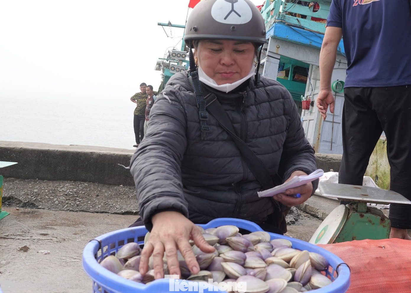 Sau khi ngao đánh bắt được vận chuyển lên bờ, thương lái chờ sẵn thu mua để chuyển ra các tỉnh phía Bắc tiêu thụ. Sau khi ngao đánh bắt được vận chuyển lên bờ, thương lái chờ sẵn thu mua để chuyển ra các tỉnh phía Bắc tiêu thụ.