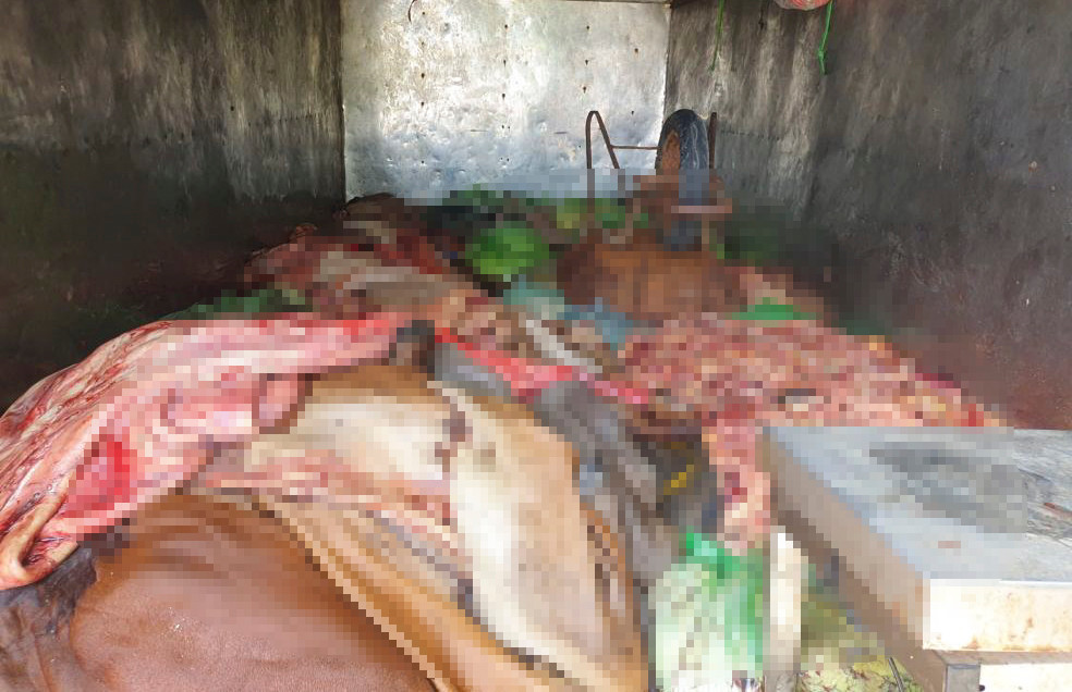 Cảnh sát chặn bắt xe chở thực phẩm bẩn đi tiêu thụ. Cảnh sát chặn bắt xe chở thực phẩm bẩn đi tiêu thụ.