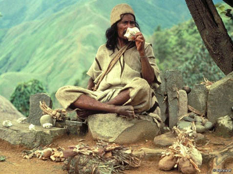 Bộ tộc Kogi sống rất thọ 