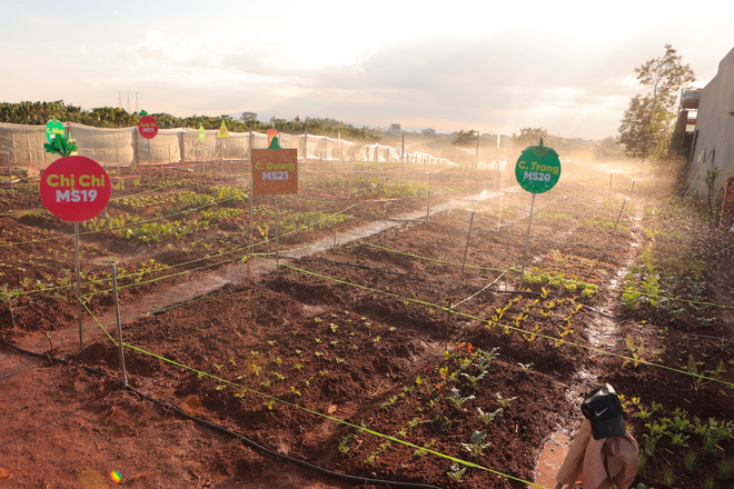 Mỗi khách có một khu vườn riêng, có bảng tên và được xem vườn hàng ngày qua camera. Mỗi khách có một khu vườn riêng, có bảng tên và được xem vườn hàng ngày qua camera.