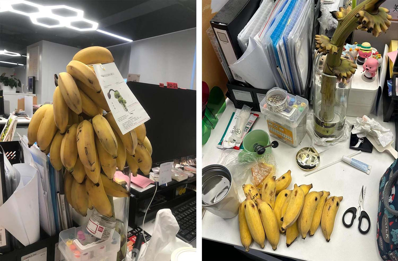 Bàn làm việc của Zheng Yishan