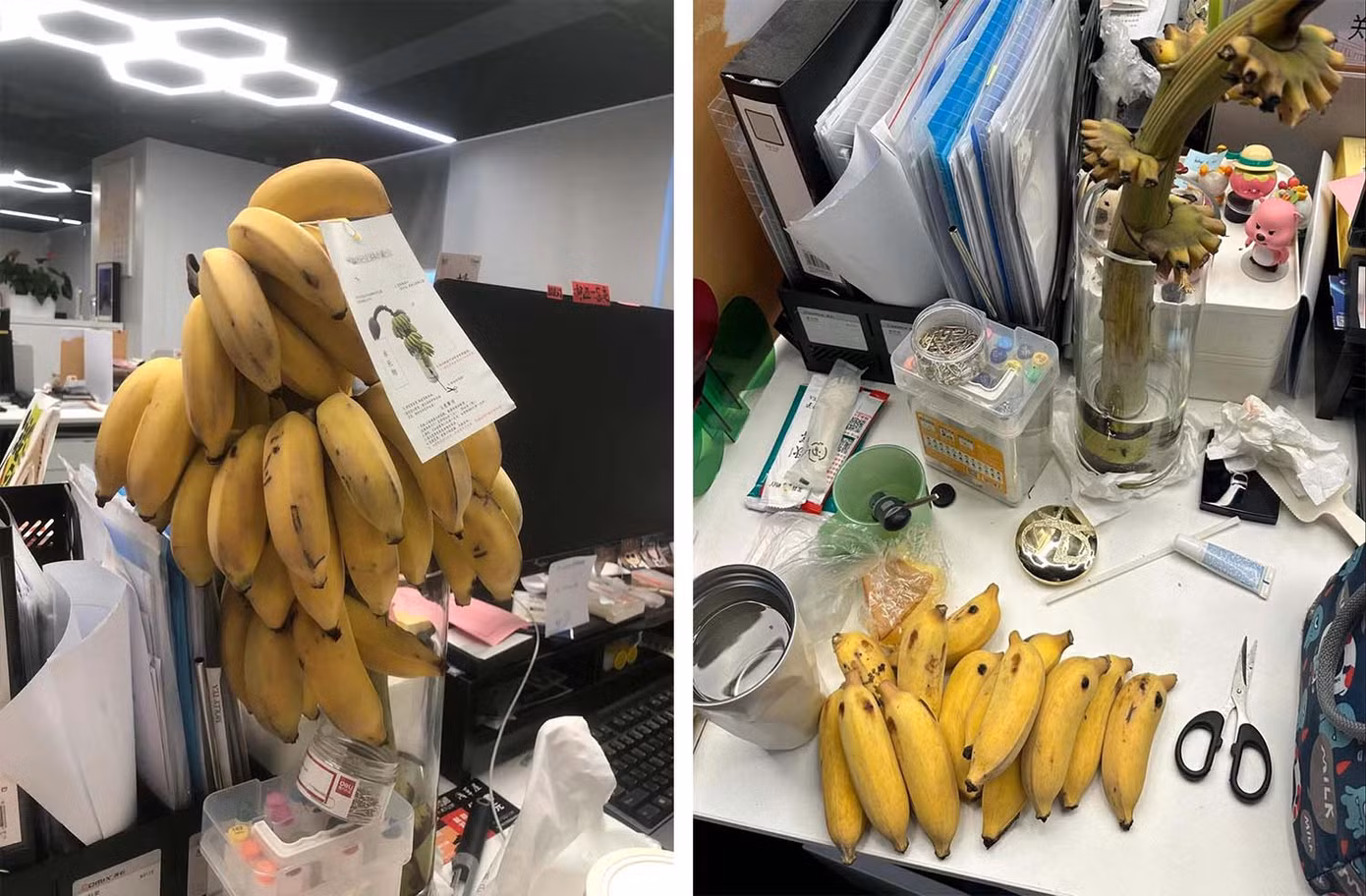 Bàn làm việc của Zheng Yishan