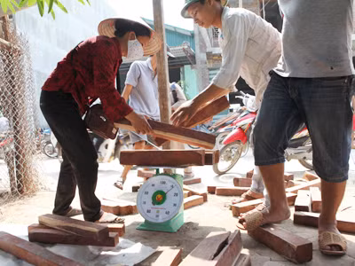 Dùng cân để mua bán gỗ. Ảnh: Minh Đức