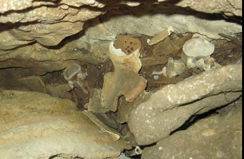 Những chiếc xương lộ ra