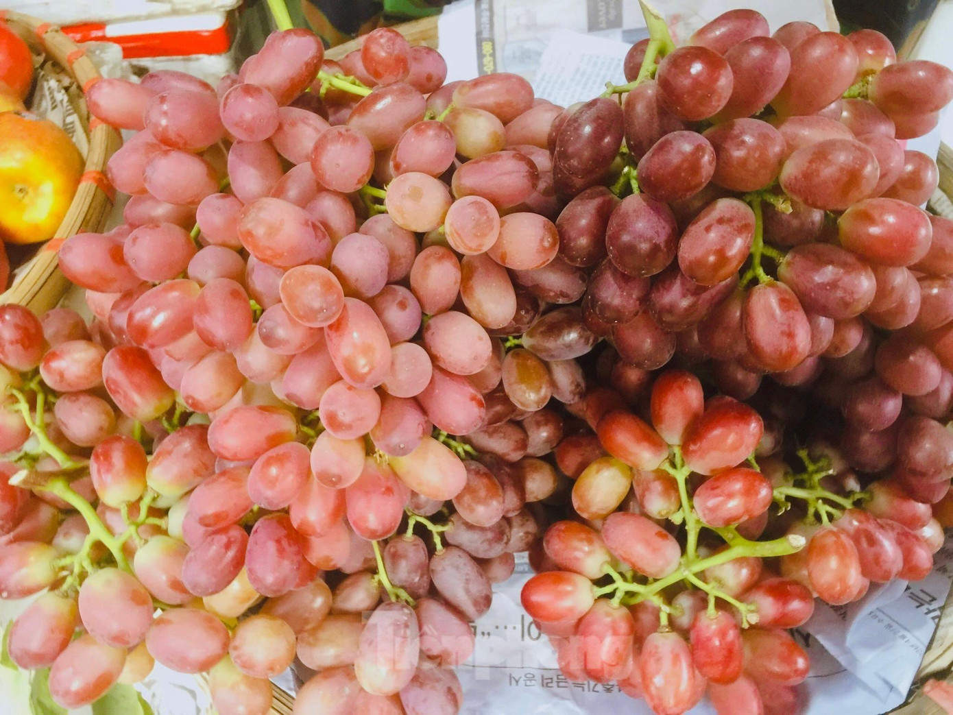 Theo các tiểu thương, nho giá rẻ có nguồn gốc từ Trung Quốc. Theo các tiểu thương, nho giá rẻ có nguồn gốc từ Trung Quốc.