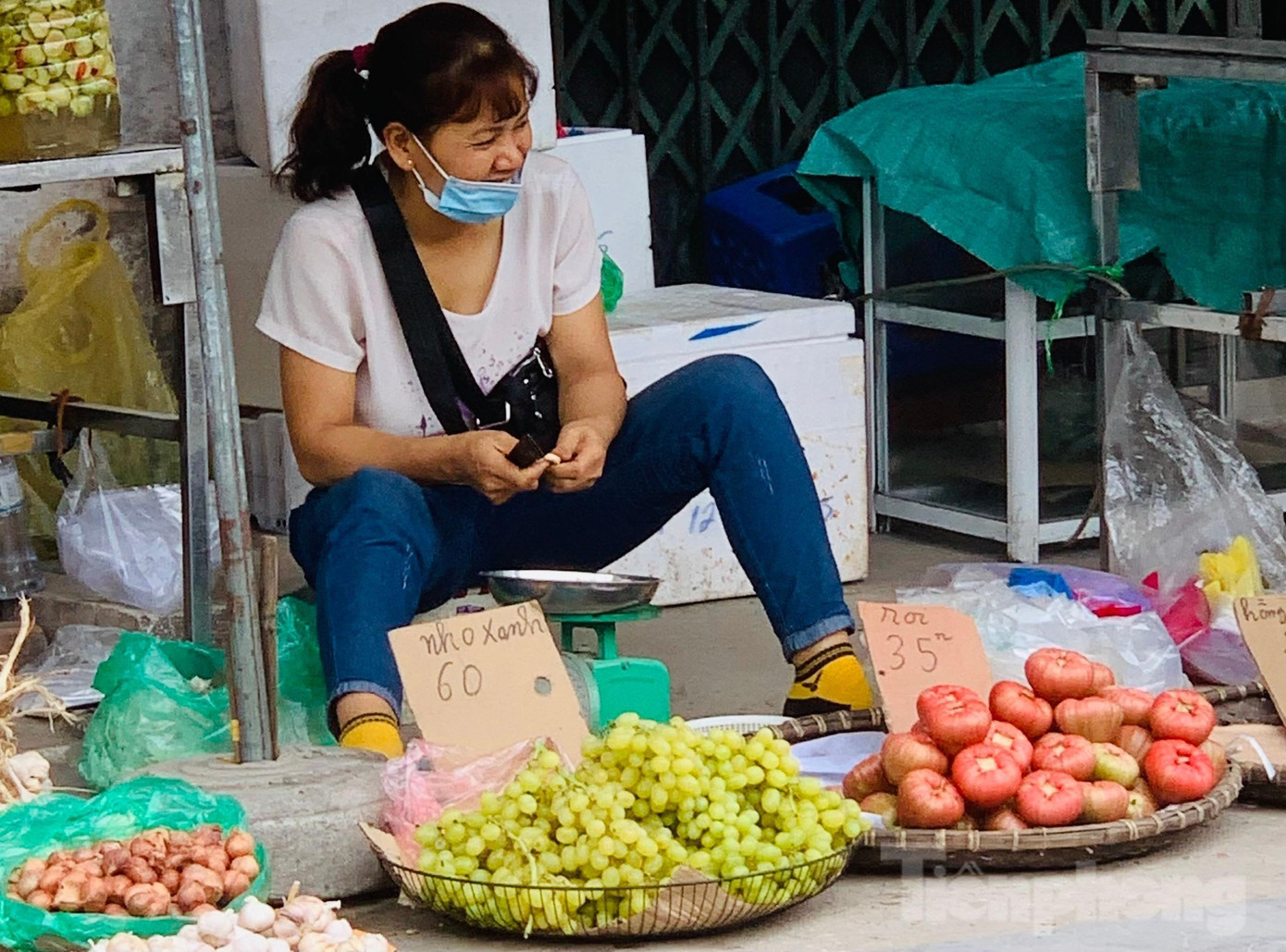 Nho xanh được bán với giá chỉ 60.000 đồng/kg Nho xanh được bán với giá chỉ 60.000 đồng/kg