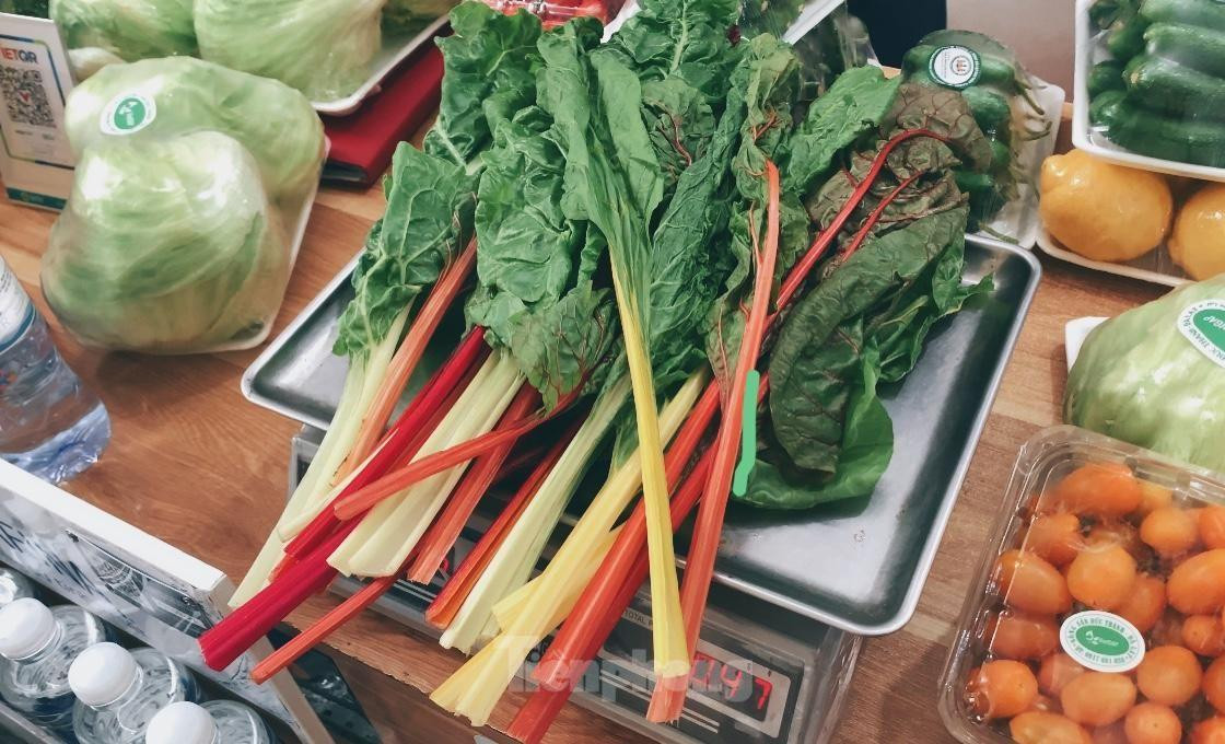 Sự đa dạng trong sắc tố của cải cầu vồng không chỉ đẹp mắt mà giúp chúng có khả năng chống viêm hiệu quả Sự đa dạng trong sắc tố của cải cầu vồng không chỉ đẹp mắt mà giúp chúng có khả năng chống viêm hiệu quả