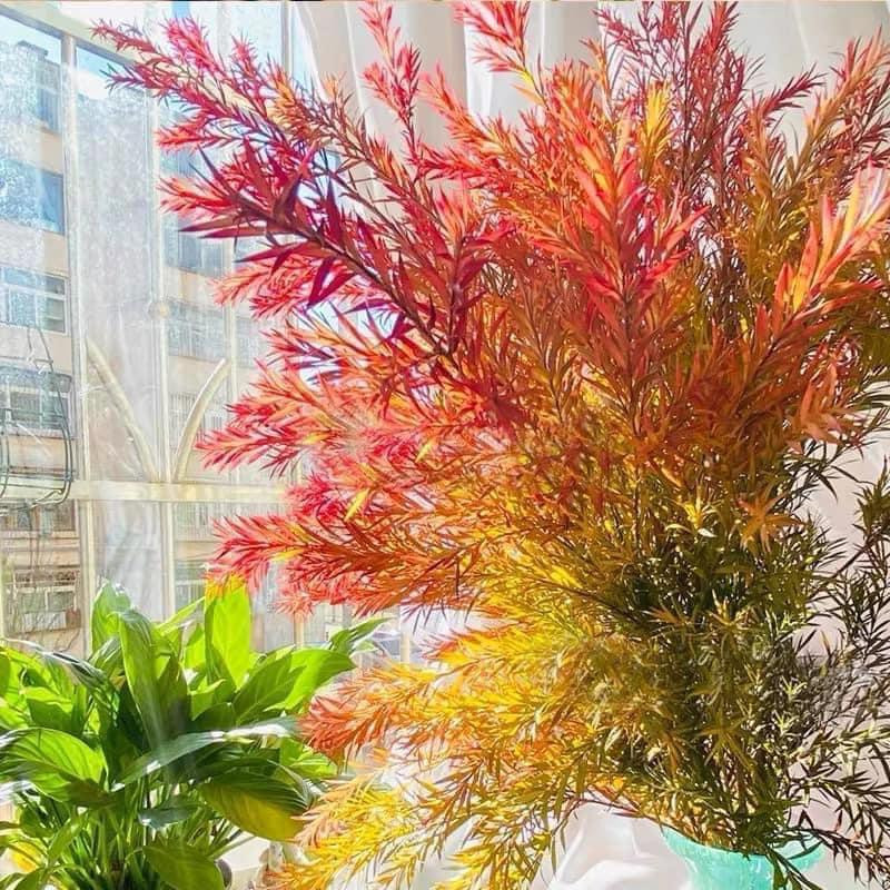 Lá hoàng kim rực rỡ sắc màu rất hợp để trang trí Halloween. Lá hoàng kim rực rỡ sắc màu rất hợp để trang trí Halloween.