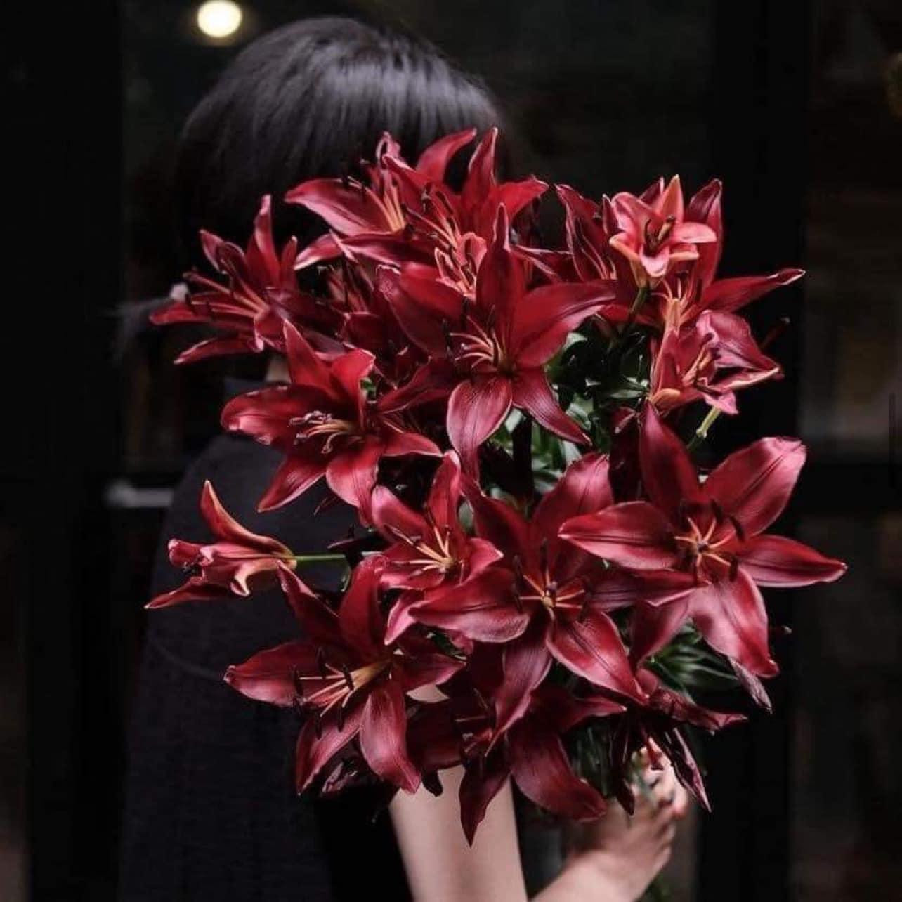 Hoa ly đen bóng đêm khi bung nở, dù không tươi sáng nhưng được cho là rất sang. Hoa ly đen bóng đêm khi bung nở, dù không tươi sáng nhưng được cho là rất sang.